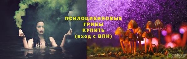 круглые Осинники