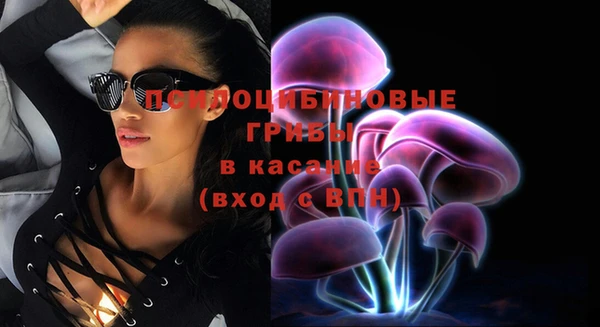круглые Осинники