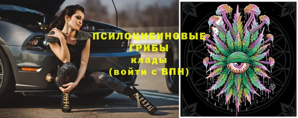 стафф Россошь